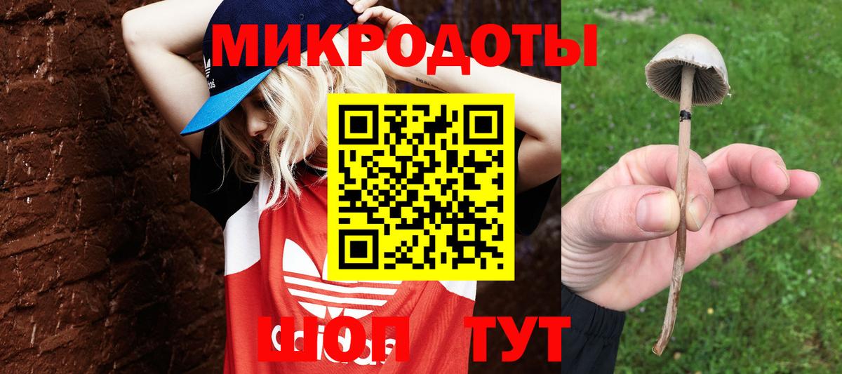 Красноярск  Псилоцибиновые грибы Magic Shrooms  хочу наркоту  Вход с VPN 